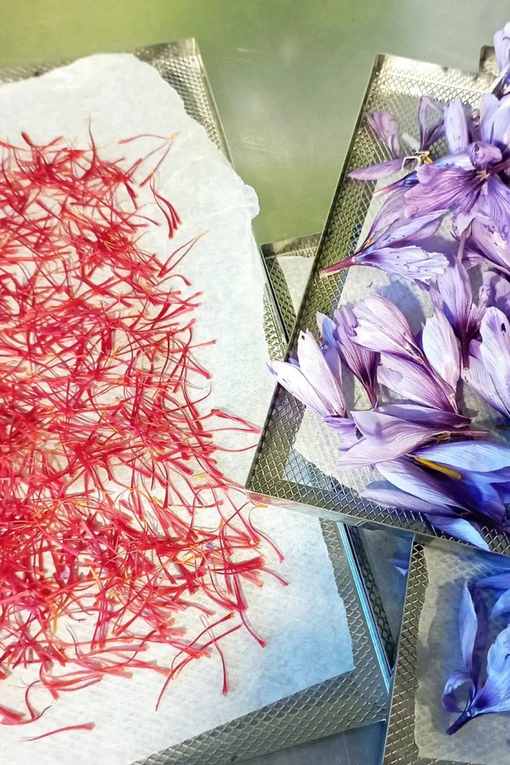 476451991_477727238741909_8535068499335967740_n